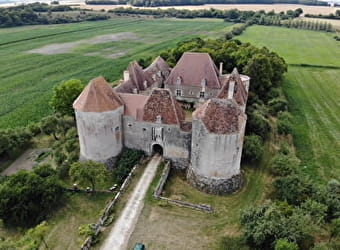 A l'assaut du château fort de la Motte Josserand - DONZY