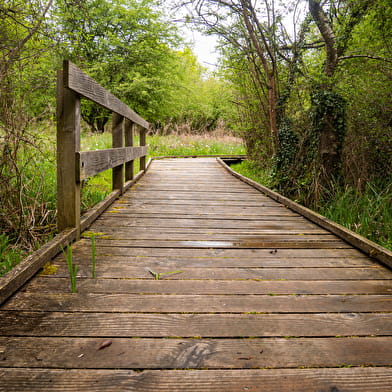 Sentier de la nature du domaine de la Beue de Lépido le papillon