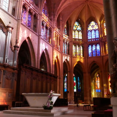 Visite guidée : Cathédrale Saint Cyr et Sainte Julitte