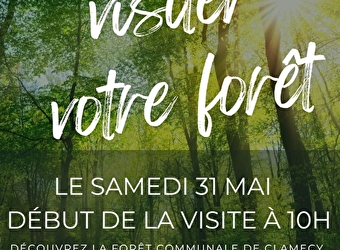 VENEZ VISITER VOTRE FORÊT - CLAMECY