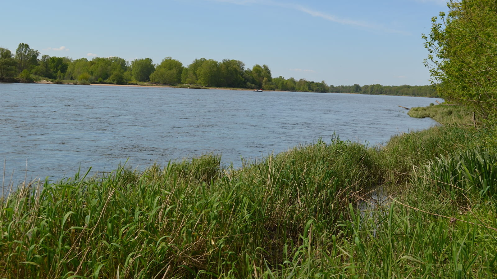 De l'eau et des arbres