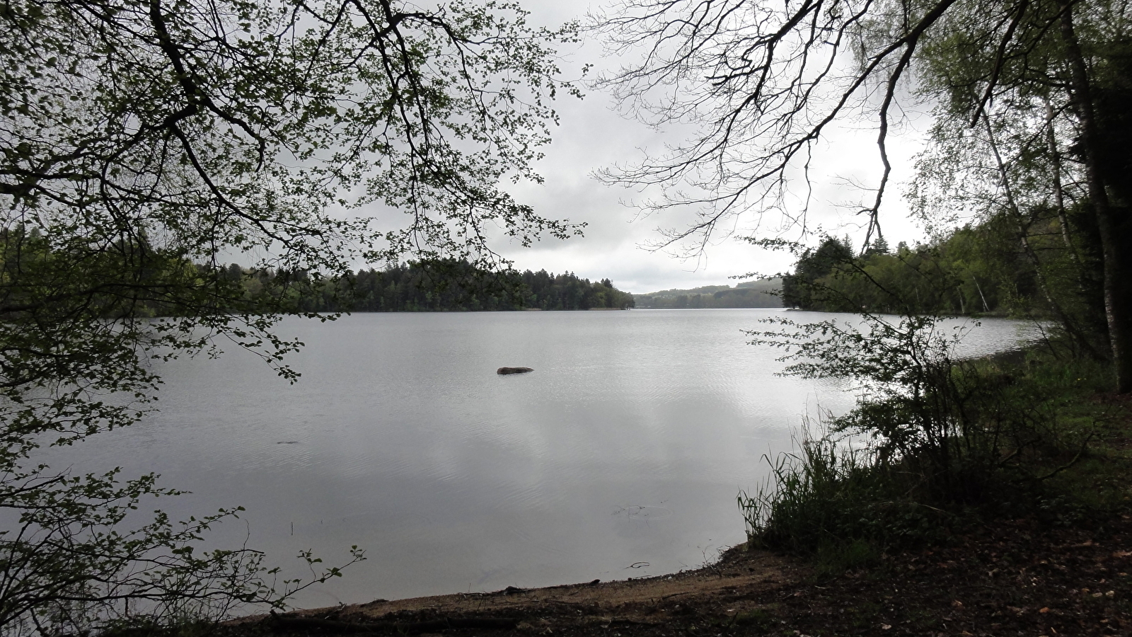 [Balade nature] A la découverte du Lac des Settons : entre histoire et biodiversité Journée mondiale des zones humides