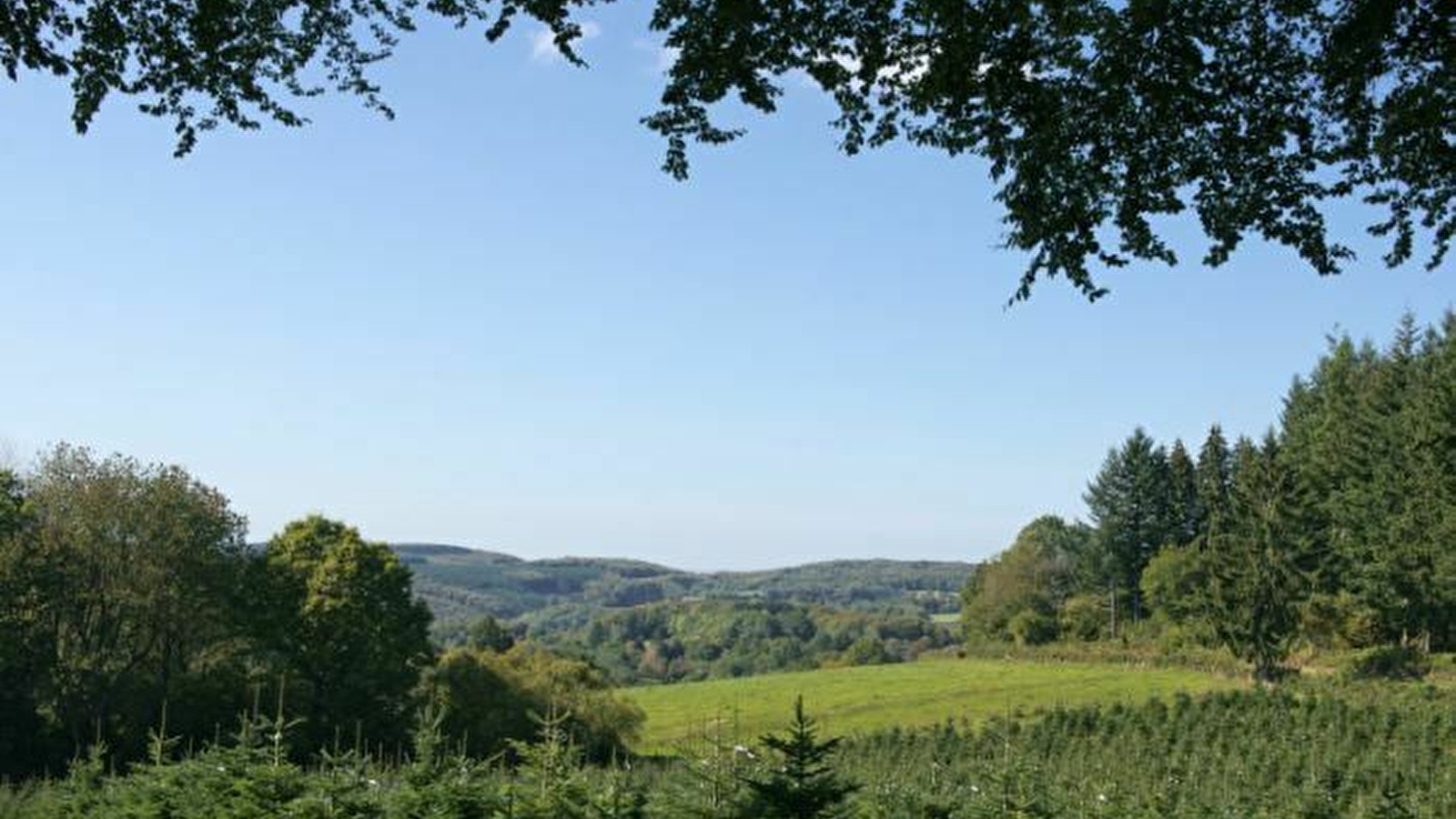 Circuit de randonnée : Boucle de la pierre à Boron