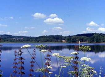 Sentier de la nature du petit lac de Pannecière - MONTIGNY-EN-MORVAN