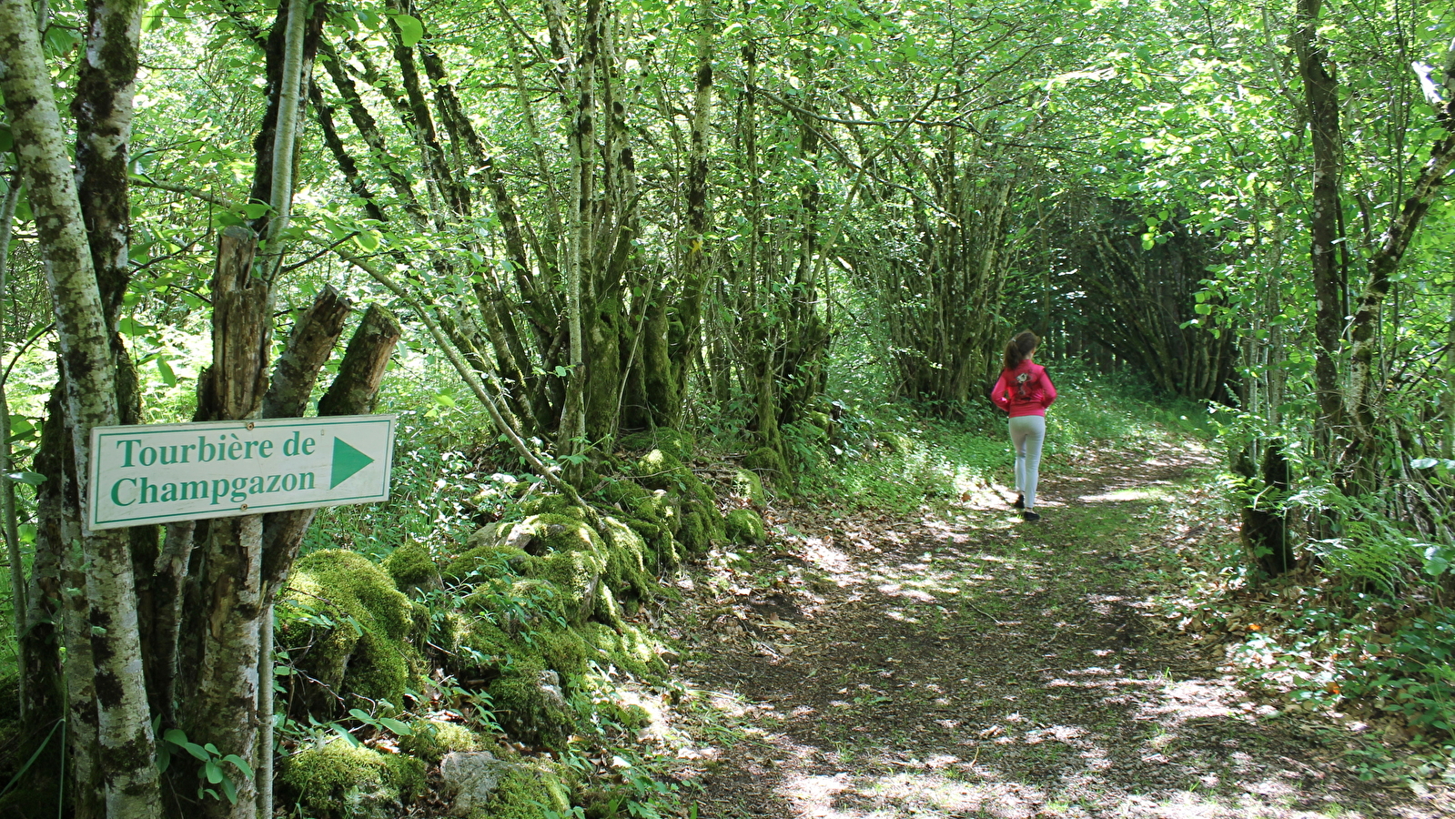 Tourbière de Champgazon