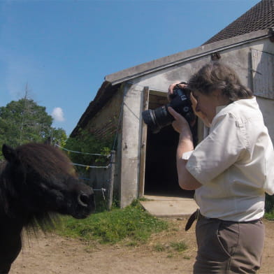 Atelier Photographie équine