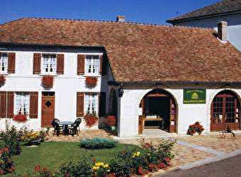 Domaine Masson Blondelet - POUILLY-SUR-LOIRE