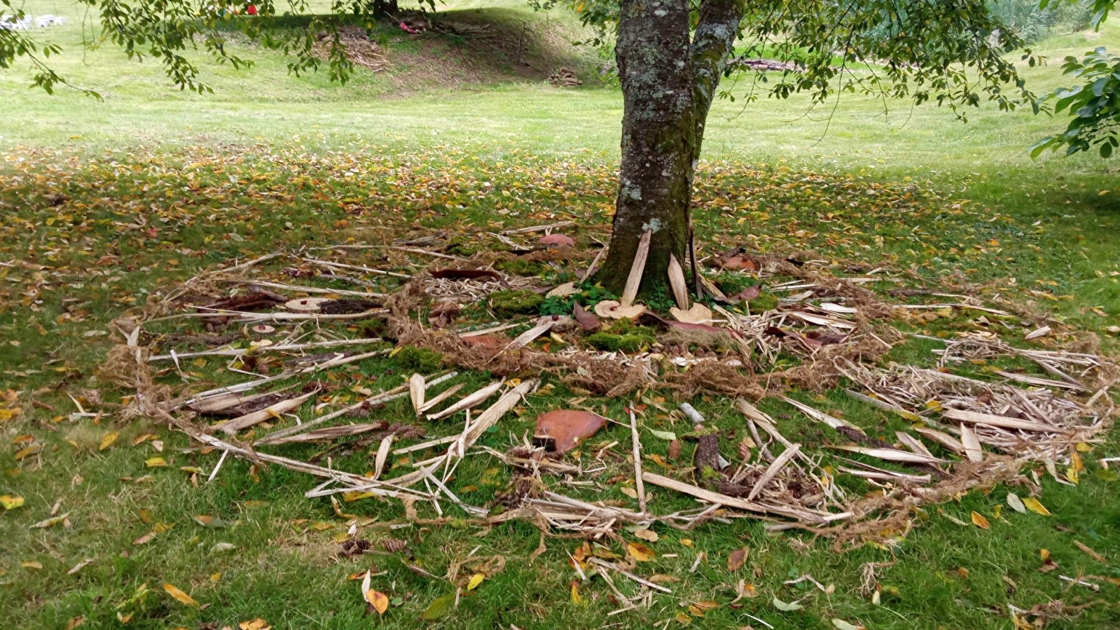 Atelier de création : je réalise un objet naturel