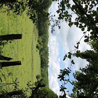 Tourbière de Champgazon