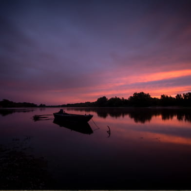 Sortie nature : Une nuit sur une île