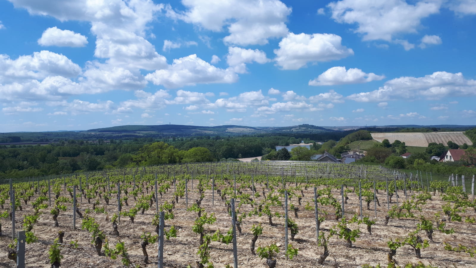 Voyage à 360° aux Loges, à Tracy-sur-Loire