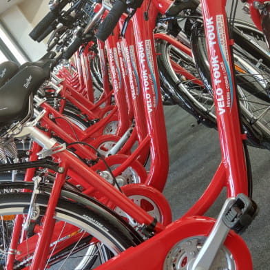 Location de vélos VTC, VAE, VTT et Vélos enfant