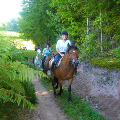 Tour équestre du Morvan