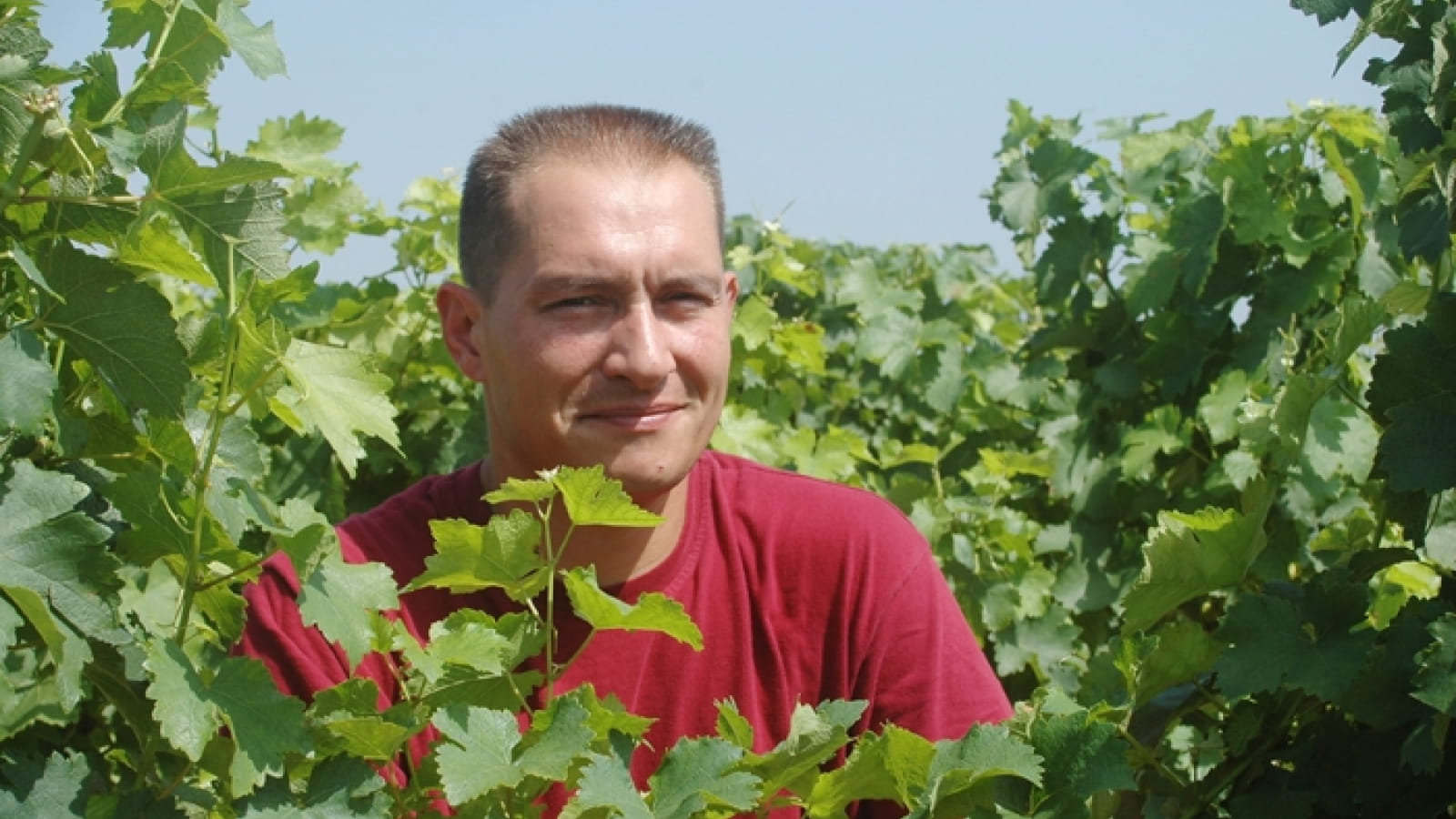 Domaine Chatelain