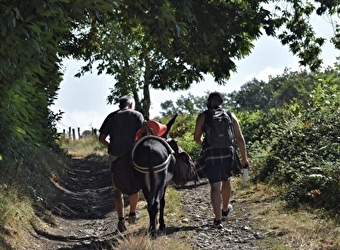 Bibracte fête la nature - SAINT-LEGER-SOUS-BEUVRAY