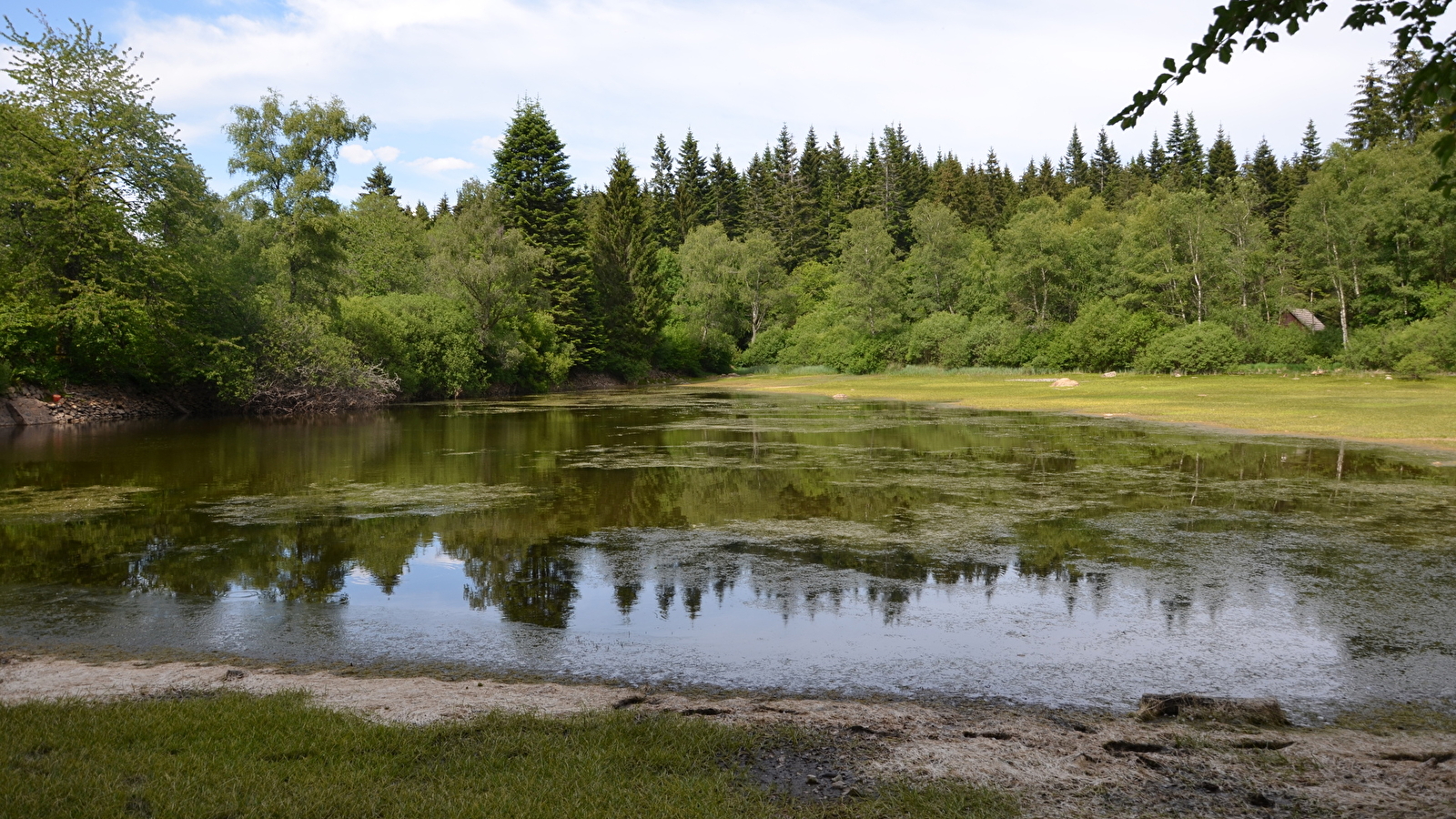 Balade nature : La nature en dormance à Préperny