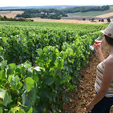Balade gourmande - Butte de Montenoison