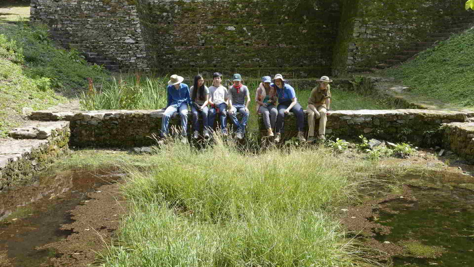Atelier botanique à la Fontaine Saint-Pierre à Bibracte