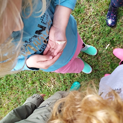 Les Aventuriers du Milieu de Loire : journée nature pour les 6-12 ans, spéciale 'Petites bêtes terrestres'