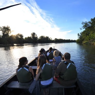 Sortie nature : En bateau à la rencontre des castors