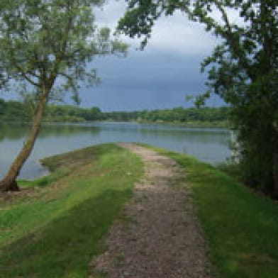 Balade famille : Le sentier du Héron cendré à l'étang de Vaux