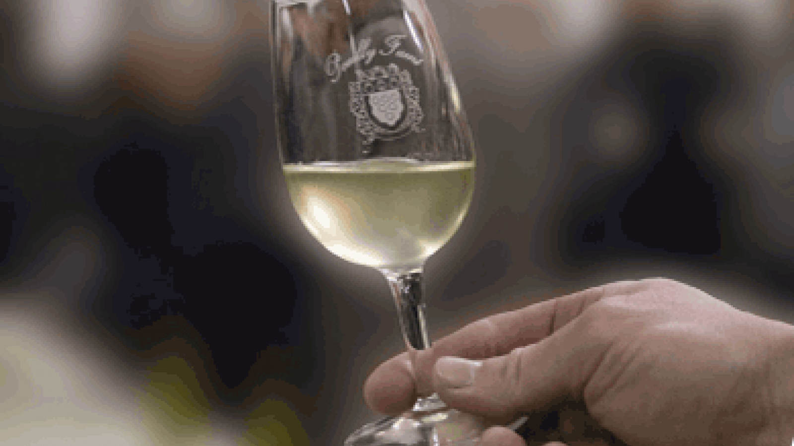 Domaine de Breugnon