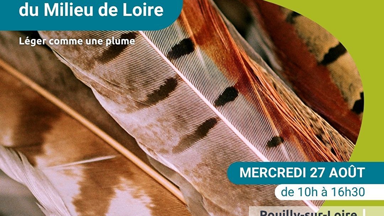 Les aventuriers du milieu de Loire, journée nature pour les 6-12 ans, spéciale 'Léger comme une plume'