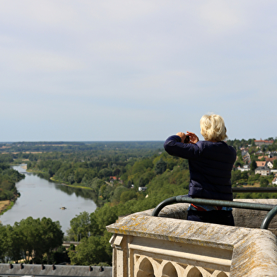 Visite guidée : La cathédrale de bas en haut