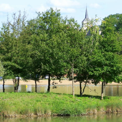 Baignade à la base de loisirs de l'Etang de la Chênaie