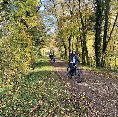 Location de vélos à assistance électrique à Cosne-Cours-sur-Loire