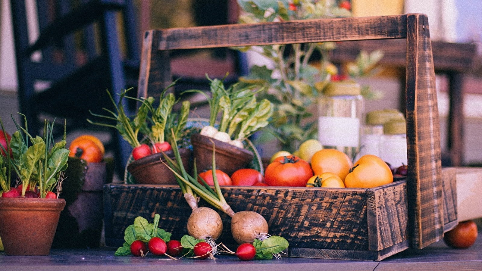 Marché hebdomadaire de Donzy