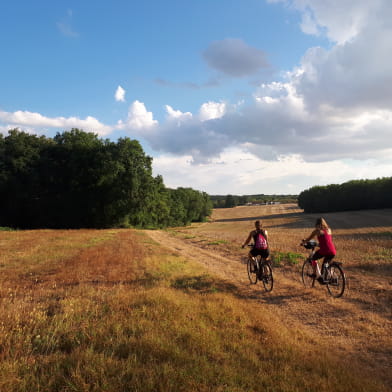 Circuit vélo : de Cosne-Cours-sur-Loire à Pouilly-sur-Loire