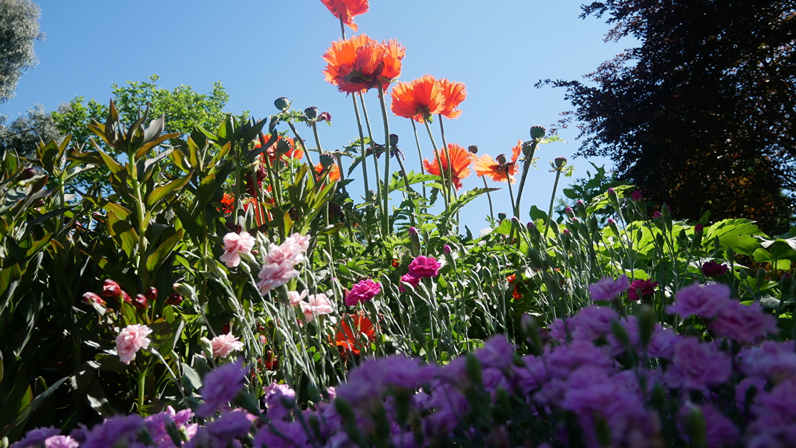 Rendez vous aux Jardins sur le thème 'Jardins de pierres, pierres de jardins'