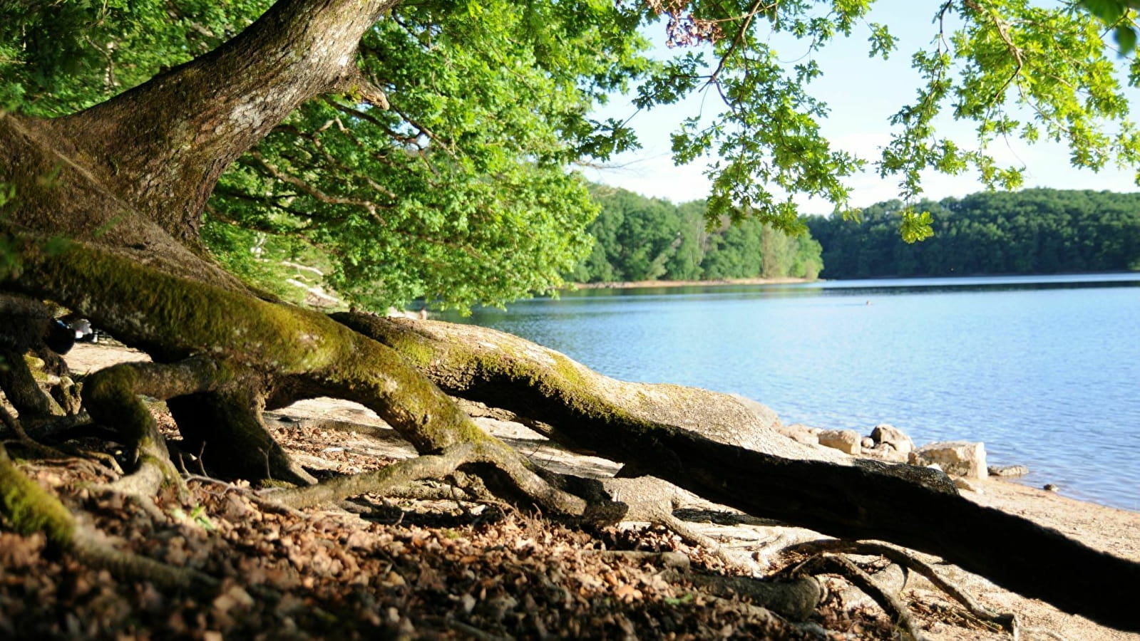 Balade NATURE ET NUTRITION : Le solstice d'été