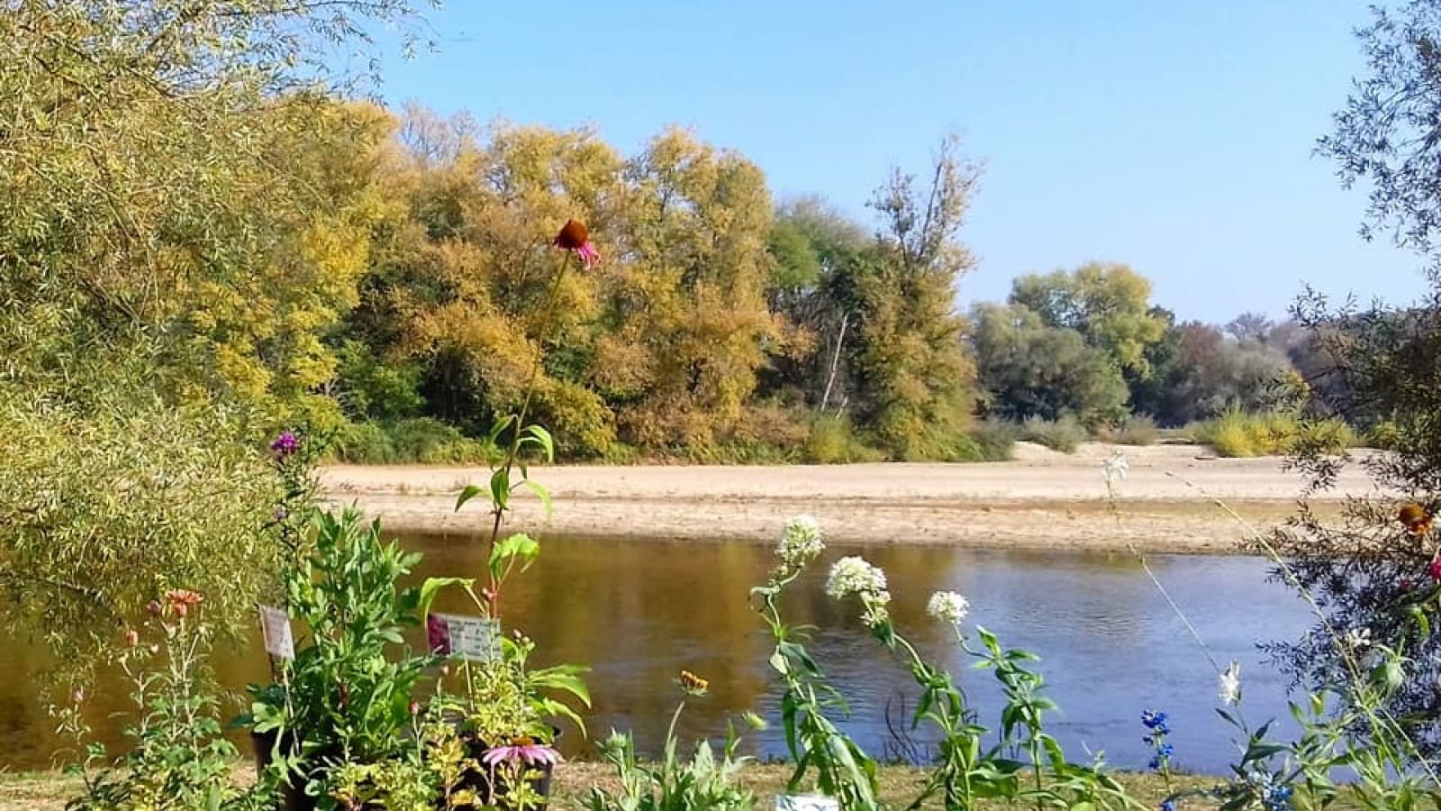 Vin, saveurs et plantes d'automne