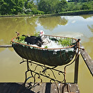 La Grande Sauve
