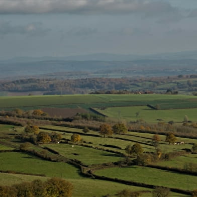 Site du Montgué