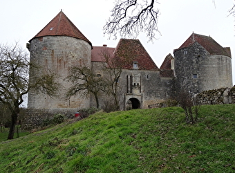 Balade à La Motte Josserand : du temps des châteaux forts - PERROY