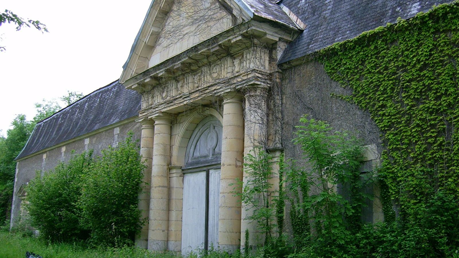 Dans la forêt lointaine de Châteauneuf