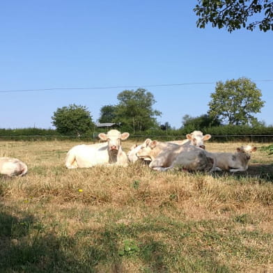 Gîte Morvan Luzy