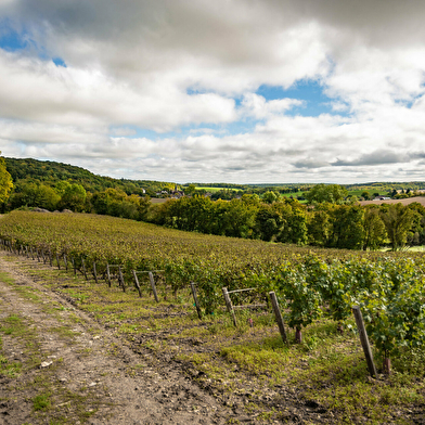 Domaine de Poulanges