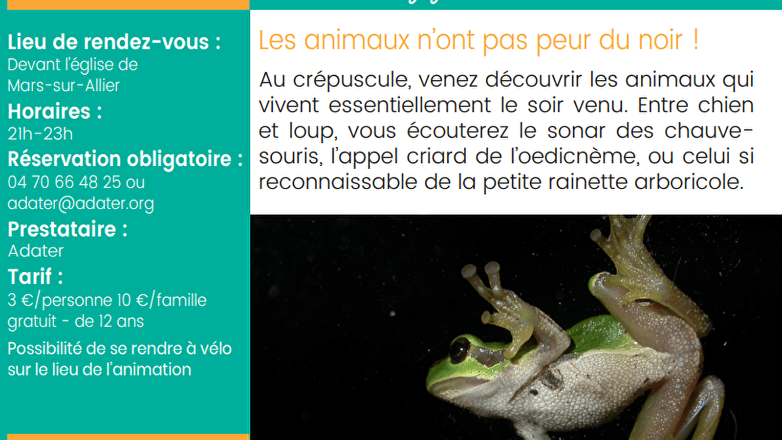Les animaux n'ont pas peur du noir!
