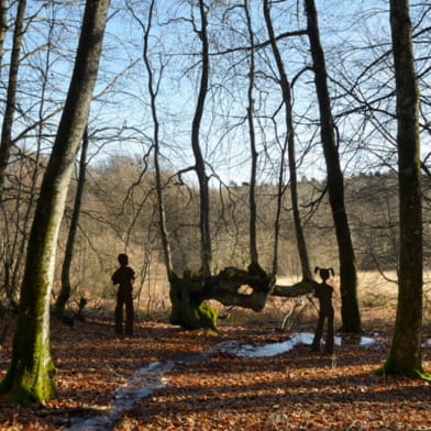 Balade numérique : sentier de la nature des Sources de l'Yonne