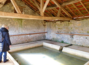 Le refuge des fées - SICHAMPS