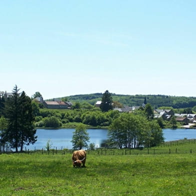 Sentier de découverte de l'étang Taureau 