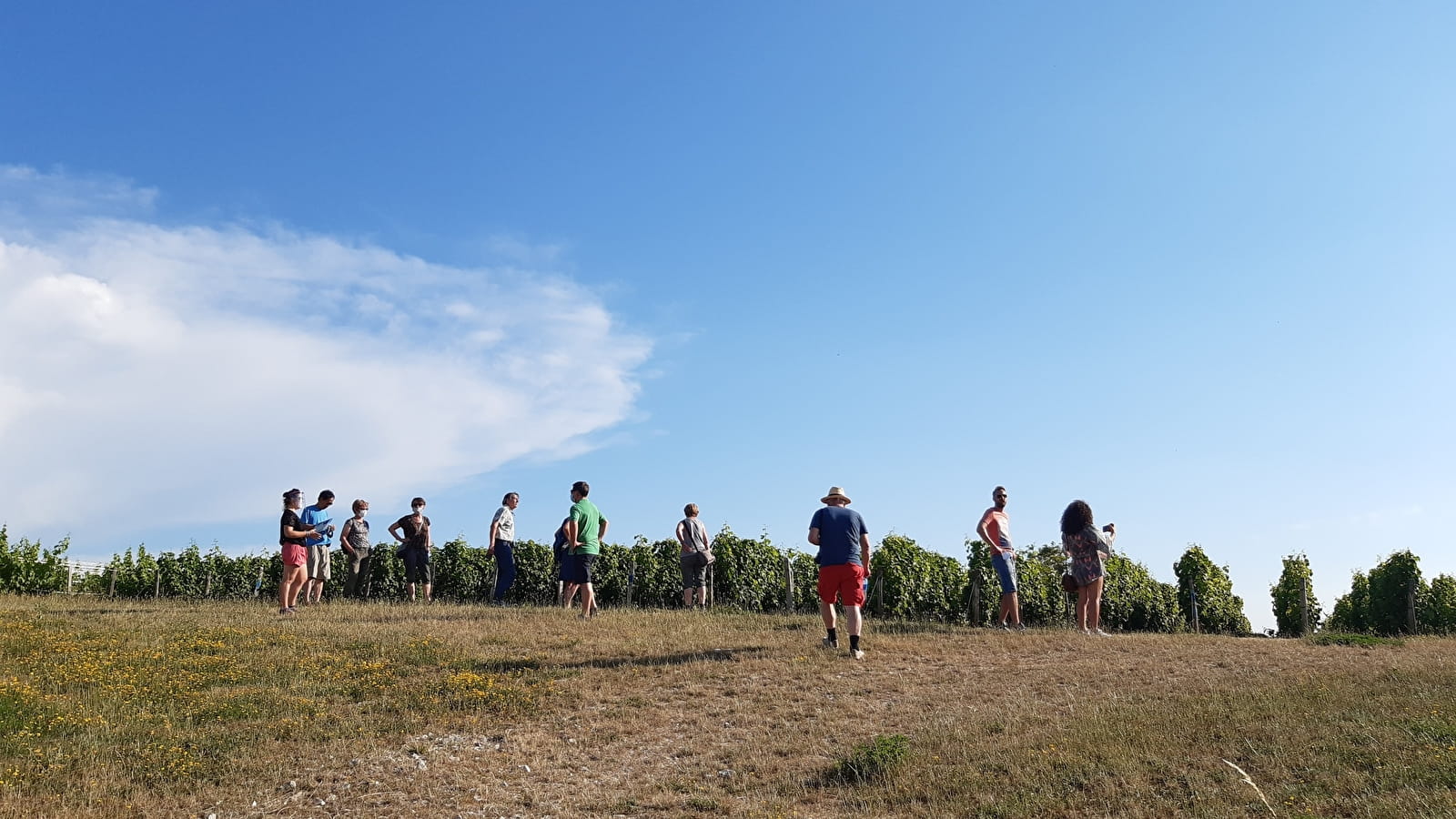 'It's Wine Time' dans un lieu chargé d'histoire, au village vigneron des Loges