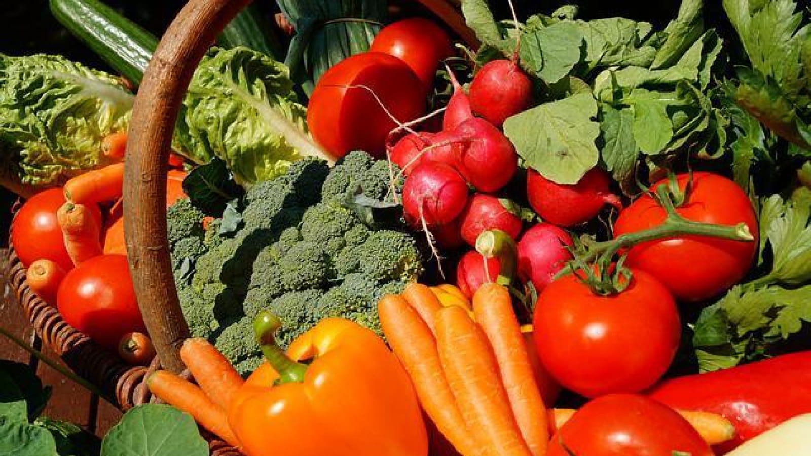 Marché semi-nocturne de l'été