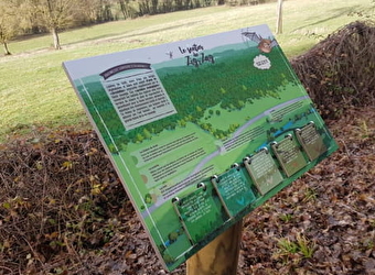 Balade à Cessy-les-Bois, lieu d'habitat de chauves-souris - CESSY-LES-BOIS