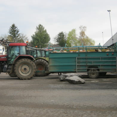 Marché au Cadran S.I.C.A.F.O.M.E (Société Intérêts Collectifs Agricole des Foires Organisées de Moulins-Engilbert)