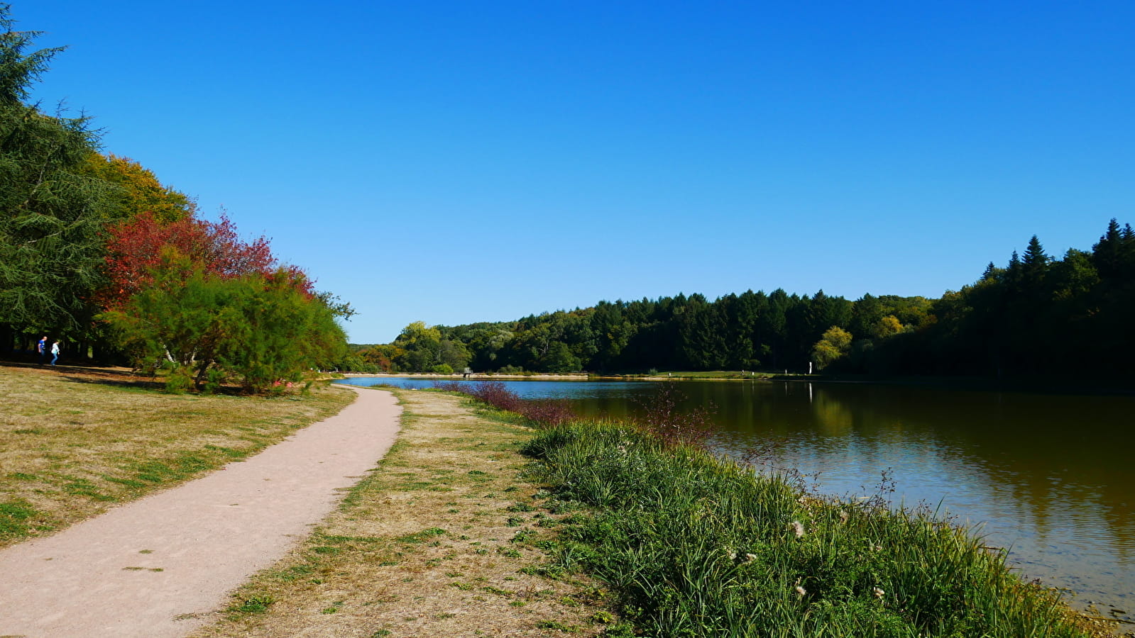 Circuit VTT Bois de la Brosse